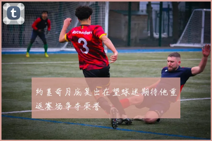 约基奇月底复出在望球迷期待他重返赛场争夺荣誉