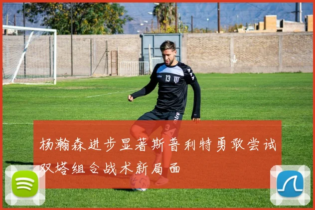 杨瀚森进步显著斯普利特勇敢尝试双塔组合战术新局面
