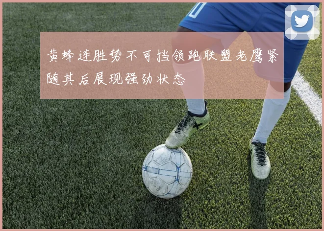 黄蜂连胜势不可挡领跑联盟老鹰紧随其后展现强劲状态