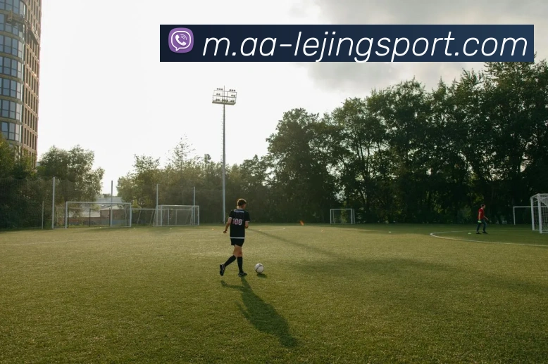 乐竞体育平台生态图